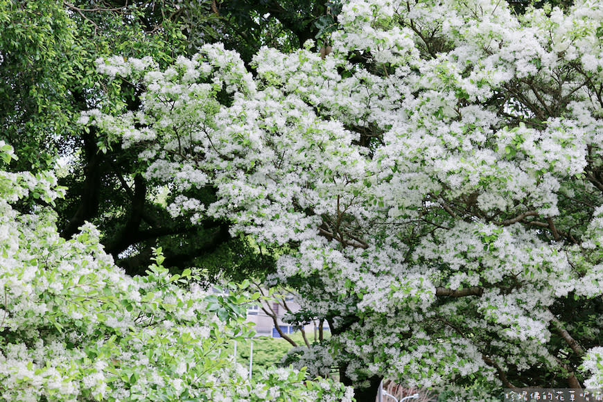 桃園｜大湖紀念公園