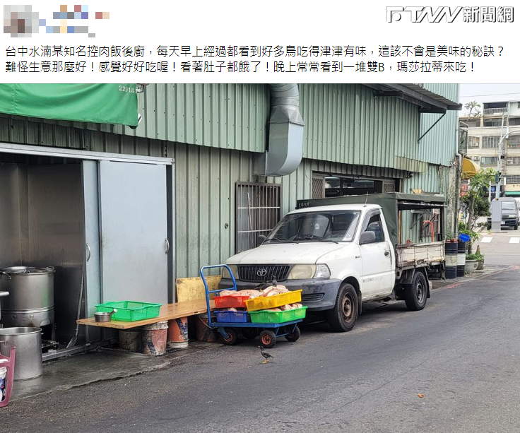 台中一家知名焢肉飯將肉品放在路邊，吸引不少小鳥直接站在肉品上飽餐一頓。（合成圖／翻攝自爆料公社）