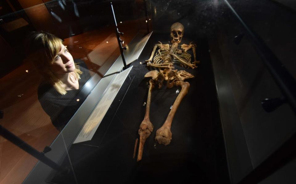 Skeleton of a Viking woman on display at JORVIK Viking Centre (JORVIK Viking Centre (c) A Chappell-Ross)