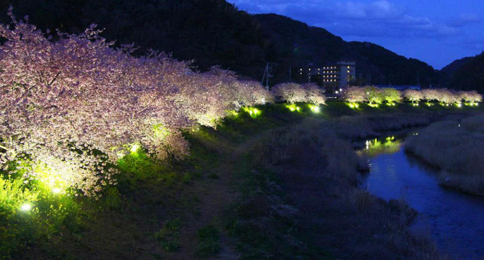 下賀茂溫泉（Photo by Sankei, Image Source : Getty Creative）