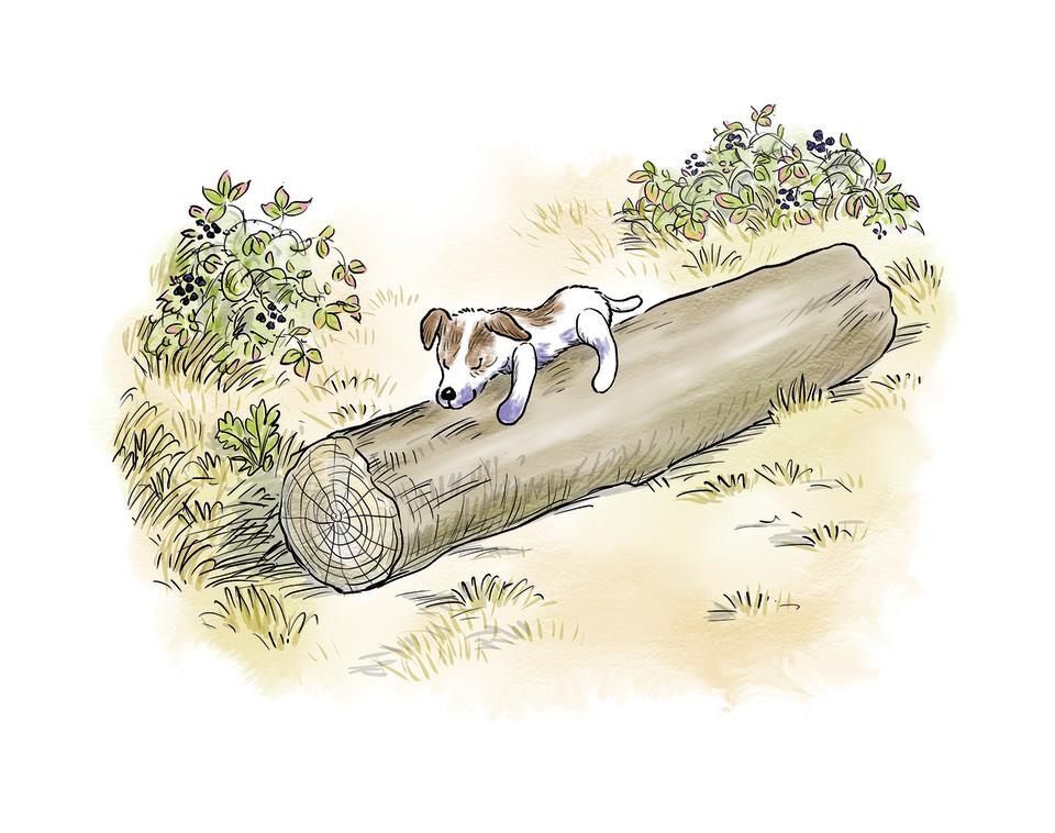 Carmen sleeping. (Illustrations by Mark Burgess copyright © 2023 The Trustees of The Pooh Properties and The Trustees of The Shepard Trust)