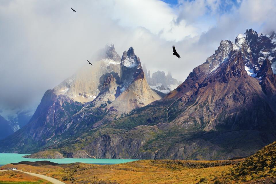 Summer day in the national park Torres del Paine, Patagonia, Chile. Cliffs of Los Kuernos among the clouds. Andean condors fly over the lake Pehoe