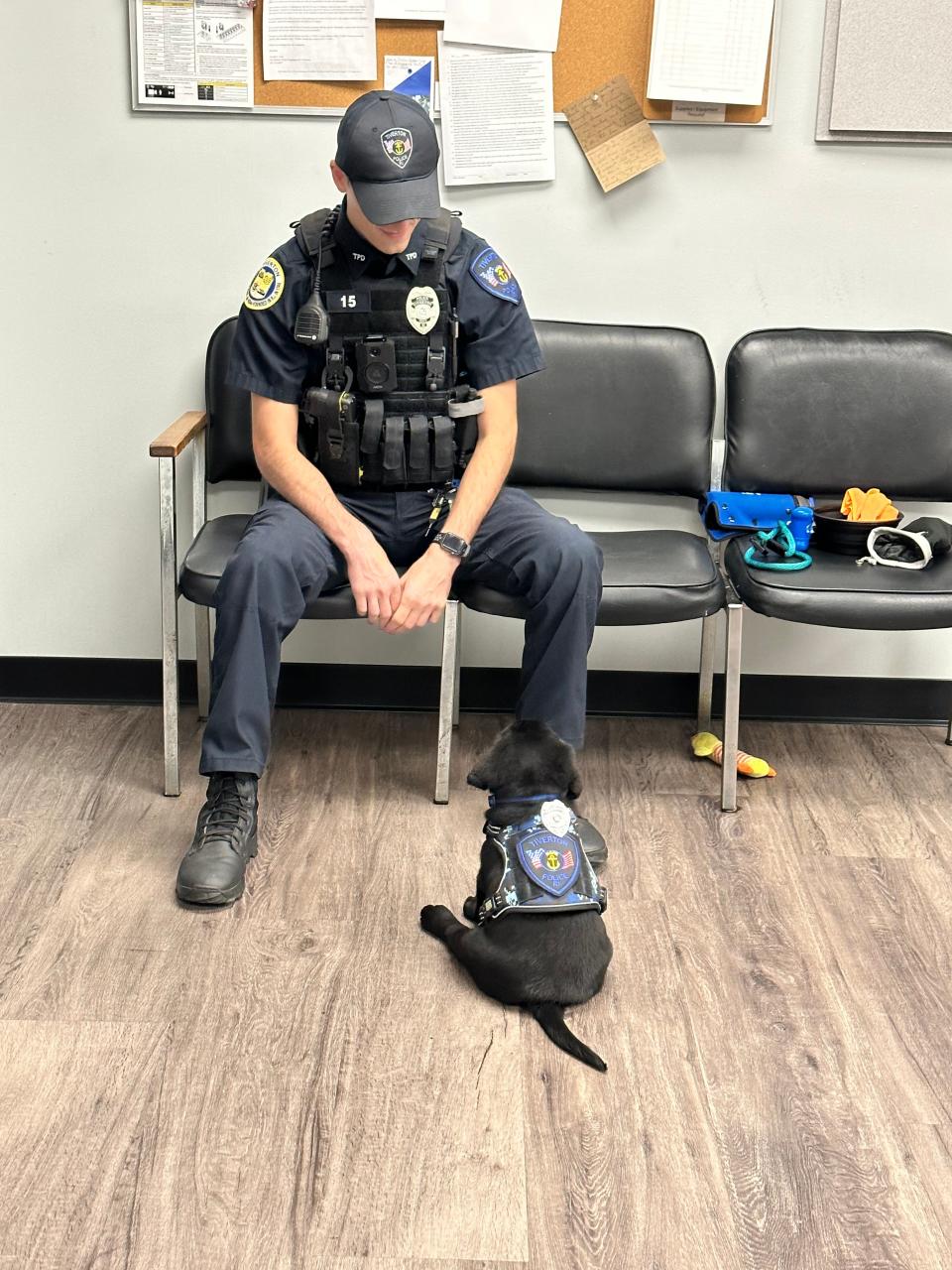 Blue, a therapy dog, joined the Tiverton Police Department in Rhode Island on Sept. 7.