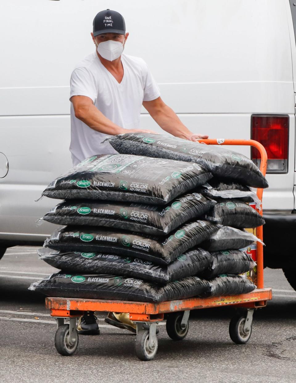 <p>Father's Day fun? Nick Lachey loads up on gardening supplies on Friday at a hardware store in Los Angeles. </p>