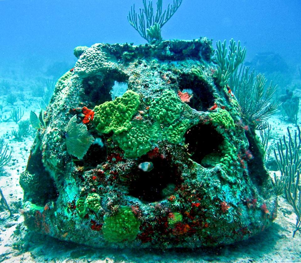 Coral grows over an Eternal Reefs reef ball in a mature artificial reef habitat.