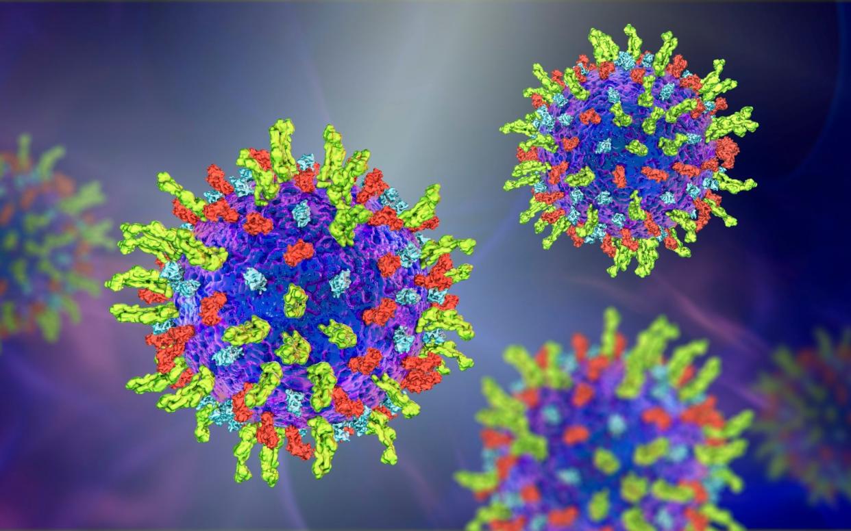 The Epstein-Barr virus (EBV) - one of the most common viruses in the world - increases the chance of multiple sclerosis 32-fold