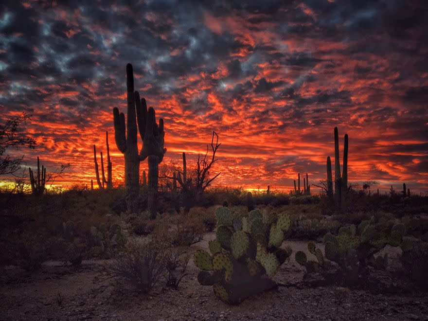 Mágico atardecer.