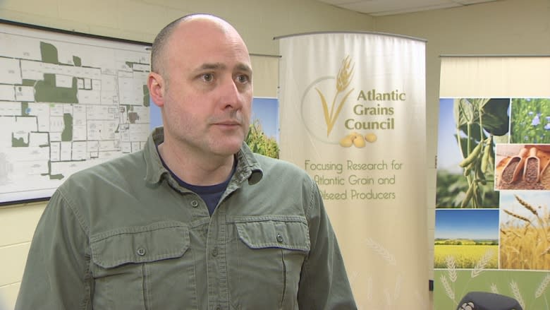 P.E.I. grain growers looking at the past to plant for the future