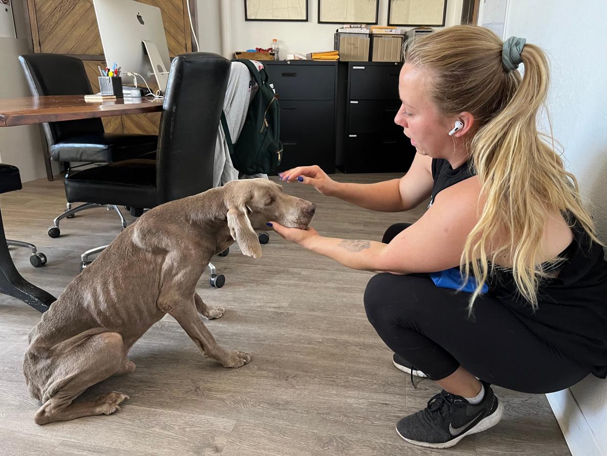 In this 2022 photo, Brittany Vizcarra, Paw Works' director of operations, pets a dog at the rescue's previous location in Camarillo.