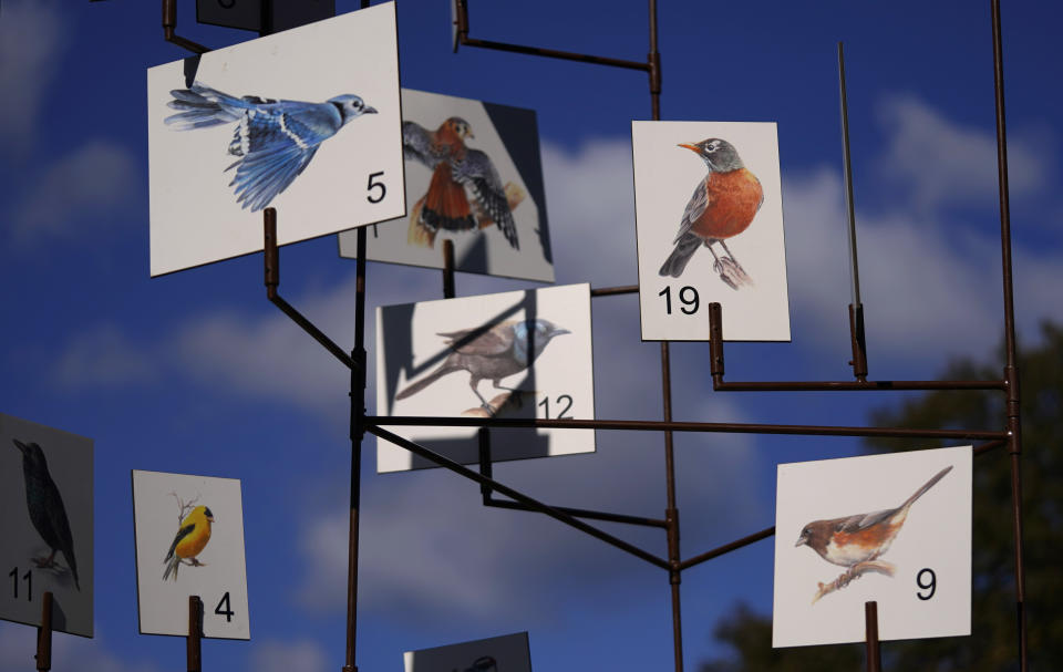 Images of birds that can be seen on the White House grounds are displayed during the White House Fall Garden Tour in Washington, Saturday, Oct. 8, 2022. (AP Photo/Carolyn Kaster)