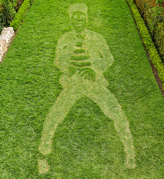Clipped lawn art