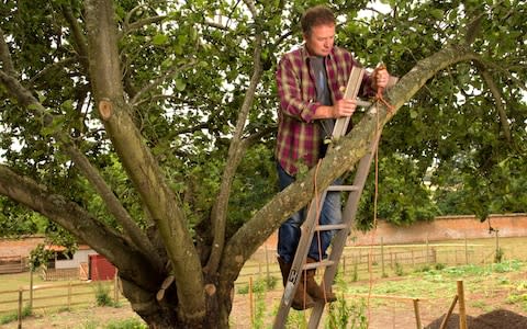 Toby Buckland gardening - Credit: Christopher Jones