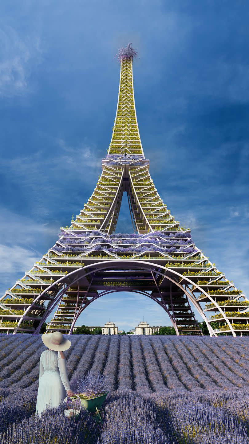 <p>France's famous landmark has been reimagined with beautiful blooms, including lavender and happy sunflowers. </p><p>Speaking about the <a href="https://www.housebeautiful.com/uk/decorate/a33633525/oliver-heath-biophilia-plants/" rel="nofollow noopener" target="_blank" data-ylk="slk:biophilic;elm:context_link;itc:0;sec:content-canvas" class="link ">biophilic</a> design, Yaniv Peer, director at <a href="https://www.iguana-architects.com/" rel="nofollow noopener" target="_blank" data-ylk="slk:Iguana Architects;elm:context_link;itc:0;sec:content-canvas" class="link ">Iguana Architects</a>, says: 'We kept the redesign simple by lining the grounds with lavender, the traditional flower of the French countryside. </p><p>'As you move up the tower, we placed shelves containing bunches upon bunches of sunflowers - France's second most-loved <a href="https://www.housebeautiful.com/uk/decorate/display/a35418217/dried-flowers/" rel="nofollow noopener" target="_blank" data-ylk="slk:flower;elm:context_link;itc:0;sec:content-canvas" class="link ">flower</a>! Lavender also coats the staircase as well as the observation decks and the very top of the tower, producing a beautiful, purple floral statement.'</p>