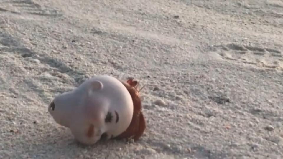 一個詭異的娃娃頭島上海灘上。圖／翻攝自Joseph Cronk臉書