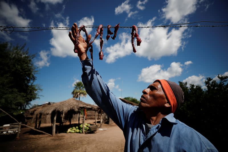 Wider Image: Vientos de comercio global soplan sobre la enorme reserva del Gran Chaco