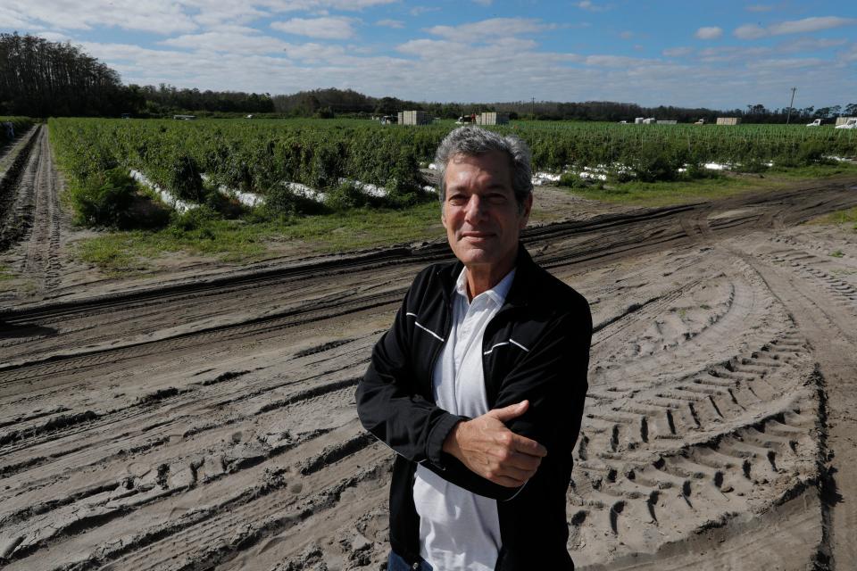 Jon Esformes, CEO of Sunrise Certified Brands, poses for a portrait along one of the grape tomatoes fields owned by his company in Immokalee, in Collier County, Florida, Friday, February 9, 2024. Esformes was the first grower to sign a Fair Food Agreement with the Coalition of Immokalee Workers.