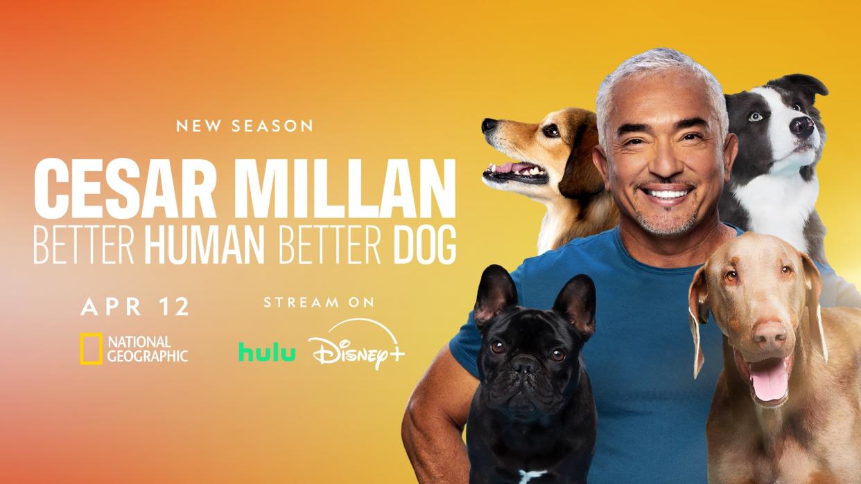  Cesar Millan. 