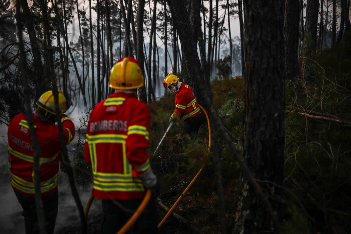 Firefighters tackling a forest fire in Portugal with temperatures in the country nudging 45C.  (AFP via Getty Images)