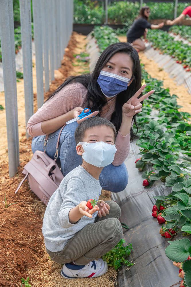 桃園青埔｜草莓學校