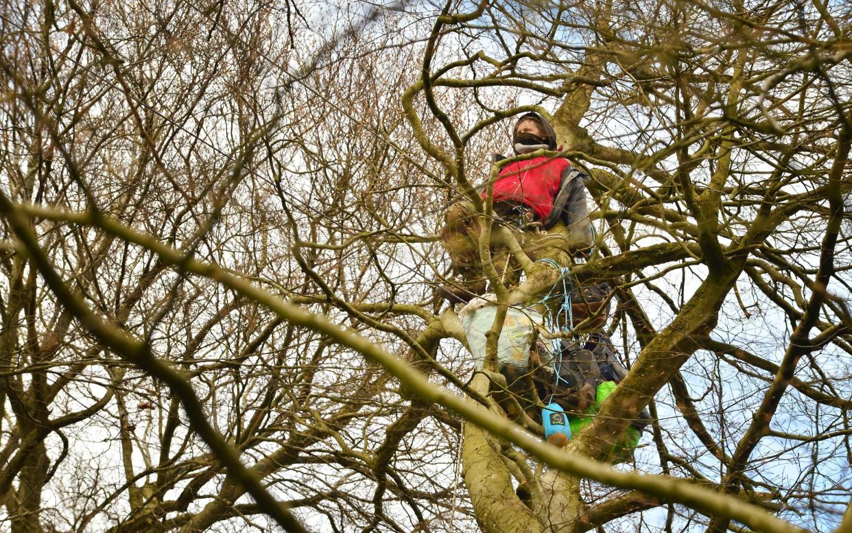 A protester occupies a tree in Buckinghamshire woodland scheduled to be felled for the HS2 project  - Jim Dyson/Getty Images Europe