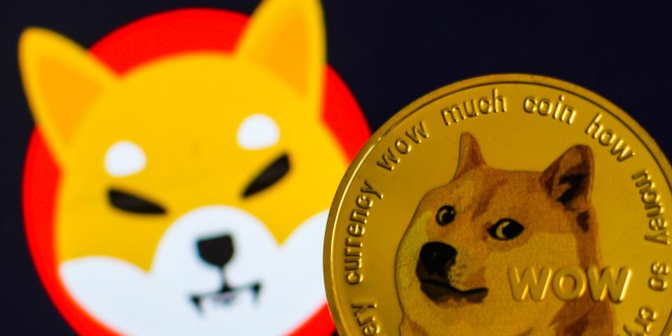 Representation of a Dogecoin cryptocurrency is seen alongside a Shiba Inu cryptocurrency logo