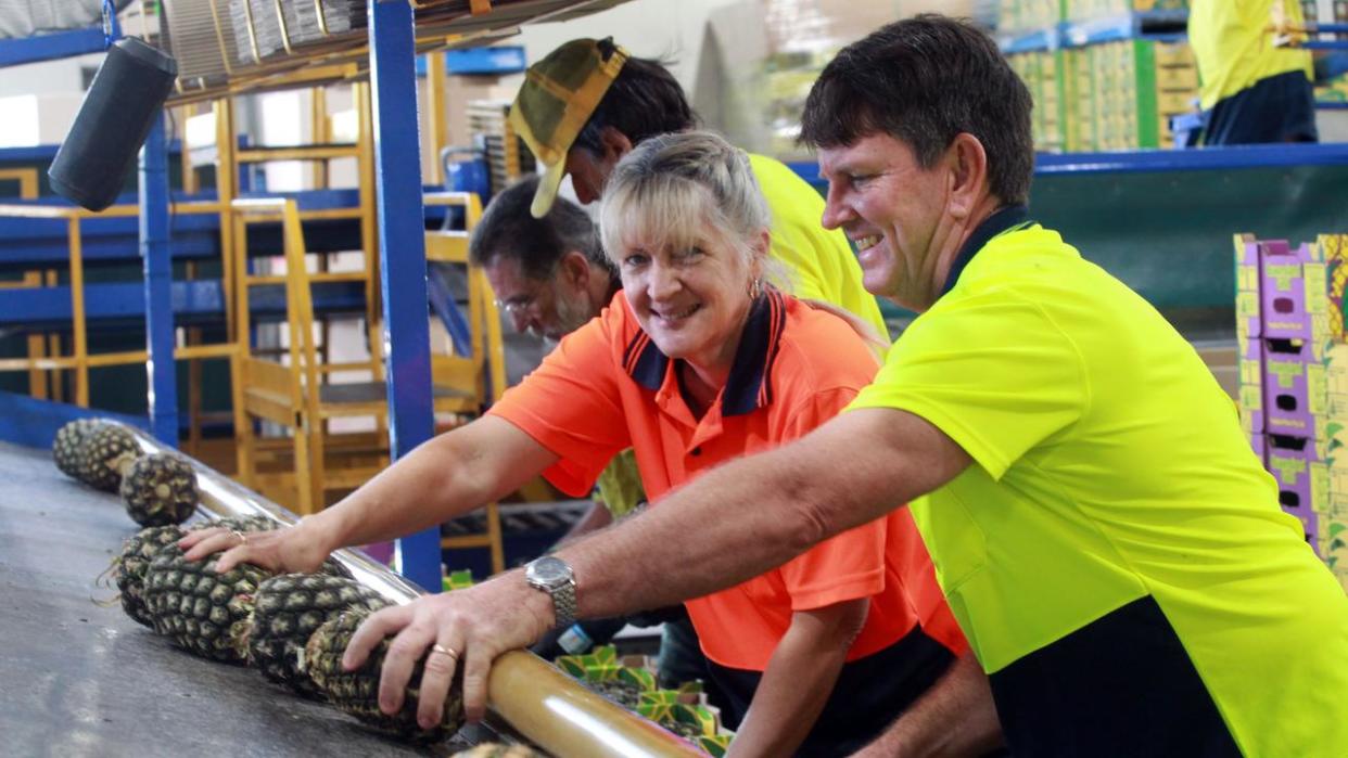 Seniors and veterans could soon be able to earn more without losing their benefits in a bid to help tackle the nation’s skills deficit. Picture: Rhodes Watson