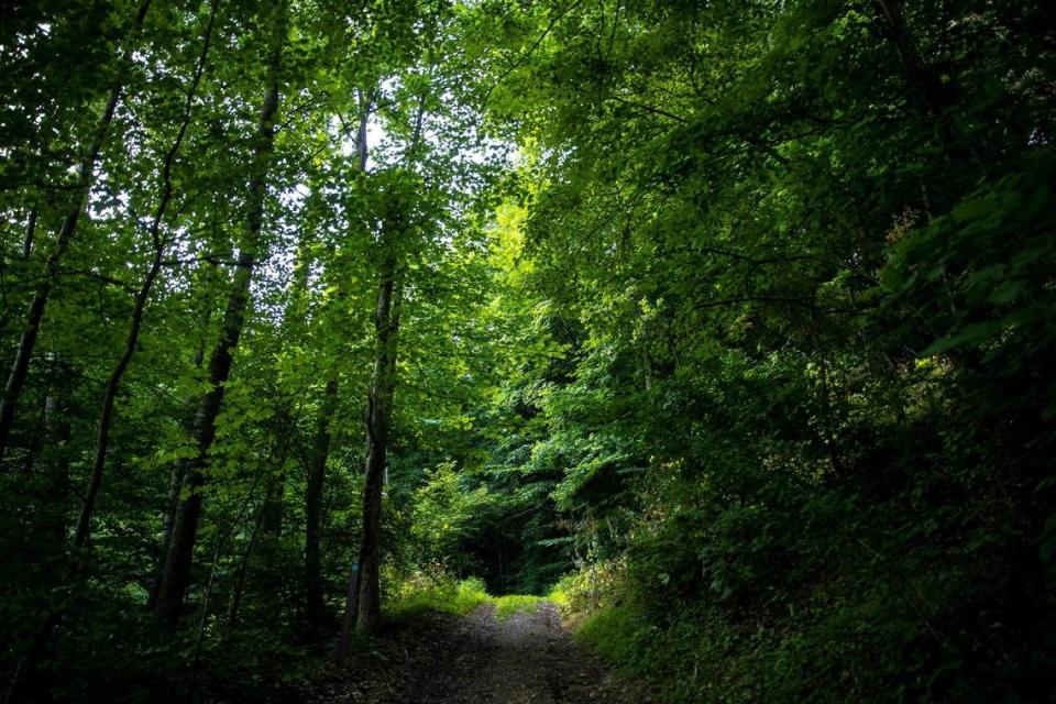 Jenny Wiley State Resort Park in Prestonsburg, Ky., has 30 miles of trails for hiking, biking and horseback riding.