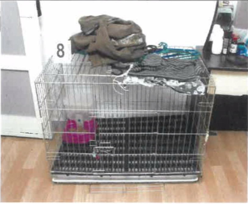 The pet cage which Azlin Arujunah and Ridzuan Mega Abdul Rahman kept their son in. (File photo: Court documents)