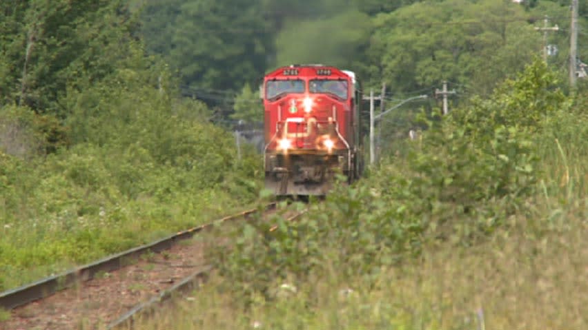 The Nova Scotia government has ended a decades-long subsidy for the rail line in Cape Breton, N.S., now that CN Rail has bought a stake in Genesee & Wyoming, the company that owns the tracks. (CBC - image credit)