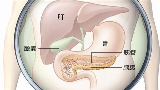 「肝病防治學術基金會」整理出胰臟癌三徵兆，黃疸、上腹痛、不明原因體重減輕。（圖／資料照）