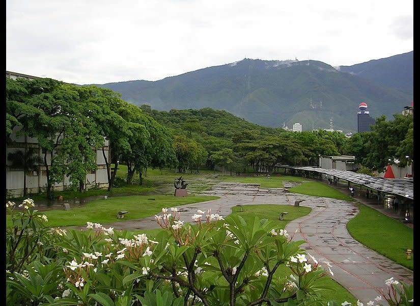 <a href="http://www.centenariovillanueva.web.ve/" target="_hplink">Carlos Raúl Villanueva</a> was a prominent Venezuelan architect in the 20th century who played a major role in the development and modernization of Caracas, Maracay and other cities across the country. Among his most important works is the Ciudad Universitaria, the main campus of the Central University of Venezuela, which is considered a masterpiece of modern city planning, architecture and art.       IMAGE: View of "Tierra de Nadie" from the library, Ciudad Universitaria de Caracas. Photo by Alejandro Bárcenas (2005).