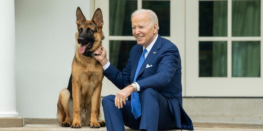 Joe Biden sits on the White House steps with his dog, Commander