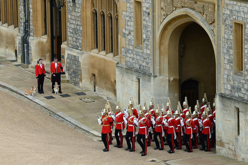 The Queen's corgis, Muick and Sandy are walked inside Windsor Castle on September 19, 2022, ahead of the Committal Service for Britain's Queen Elizabeth II. (Photo by Glyn KIRK / POOL / AFP) (Photo by GLYN KIRK/POOL/AFP via Getty Images)