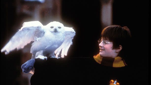 a scene from harry potter and the sorcerer's stone, a good housekeeping pick for best kids movies