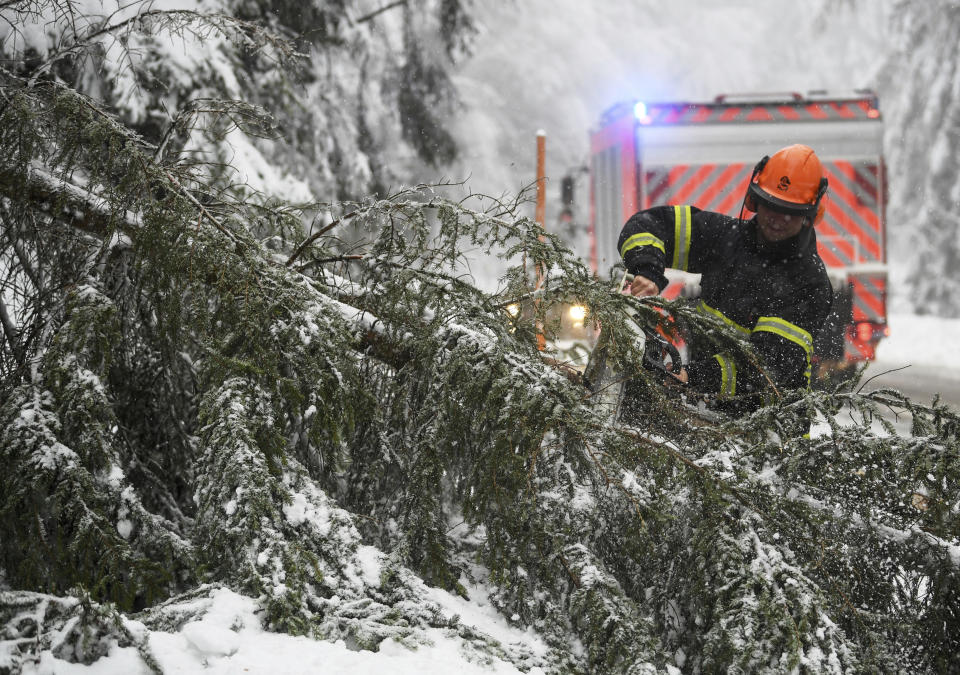 A firefighter removes a snow covered fallen tree on a road in Hofsgrund, Germany, Sunday, Jan. 13, 2019. (Patrick Seeger/dpa via AP)