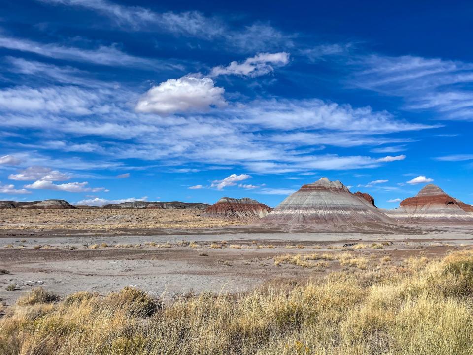 The Petrified National Park the author visited during her two-week trip.