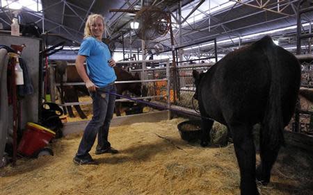 Kaley Kelley of College Station, Texas laughs while tending to her Maine steer prior to competing in the prospects competition at the State Fair of Texas in Dallas, Texas October 2, 2013. For more than a century, ranchers and their kids have paraded cattle around the dusty show ring at the State Fair of Texas in Dallas, in a rite of passage that is part farm economics, part rural theater. Today, with U.S. auction prices for champion cattle topping $300,000 a head and hefty scholarship checks for winners at stake, the competitive pressures are intense. Many animals get muscle-building livestock drugs added into animal feed. Kelley's father, Stanley Kelley, said he uses the medicated feed additive Showmaxx on some of their steer. He said the product increases the amount of "middle meat" cuts like T-bone, rib eye, porter and sirloin steaks along the steer's back and also builds lean muscle in the hind quarter, known in show terms as "putting a butt on". The Maine in the photo was not given Showmaxx. REUTERS/Mike Stone