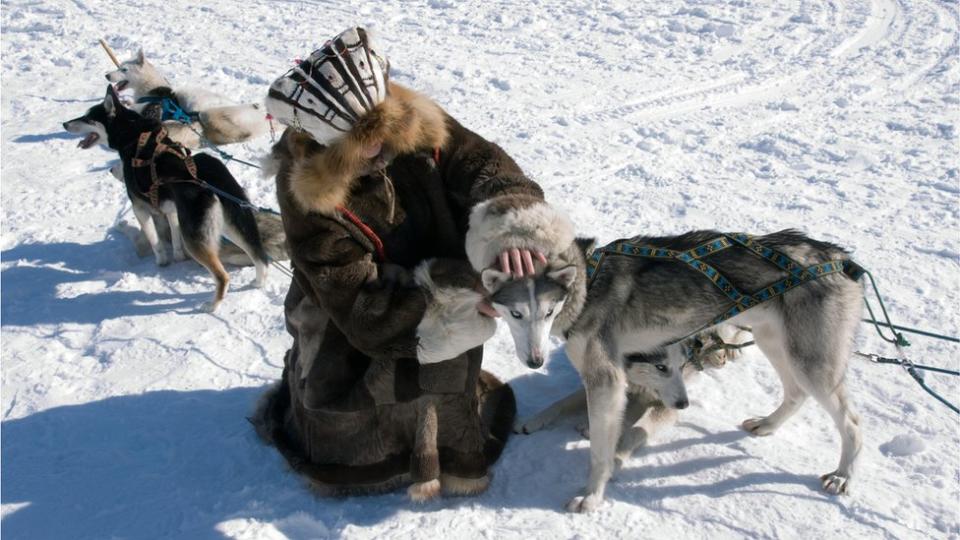 Una mujer esquimal junto a dos perros.