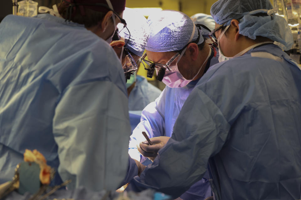 Surgeons perform the world’s first genetically modified pig kidney transplant into a living human at Massachusetts General Hospital, Saturday, March 16, 2024, in Boston, Mass. (Massachusetts General Hospital via AP)