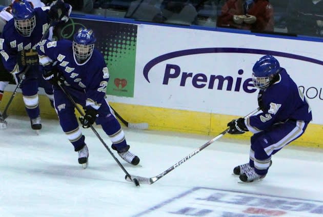 The Newtown boys hockey team became the second team from the school in as many nights to land a major playoff upset — NewtownHockey.com