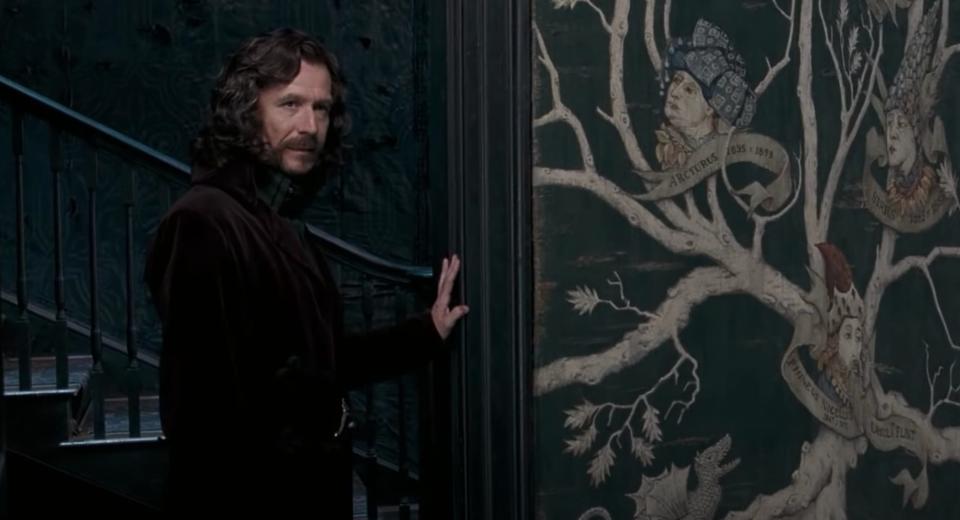 sirius black gary oldman harry potter