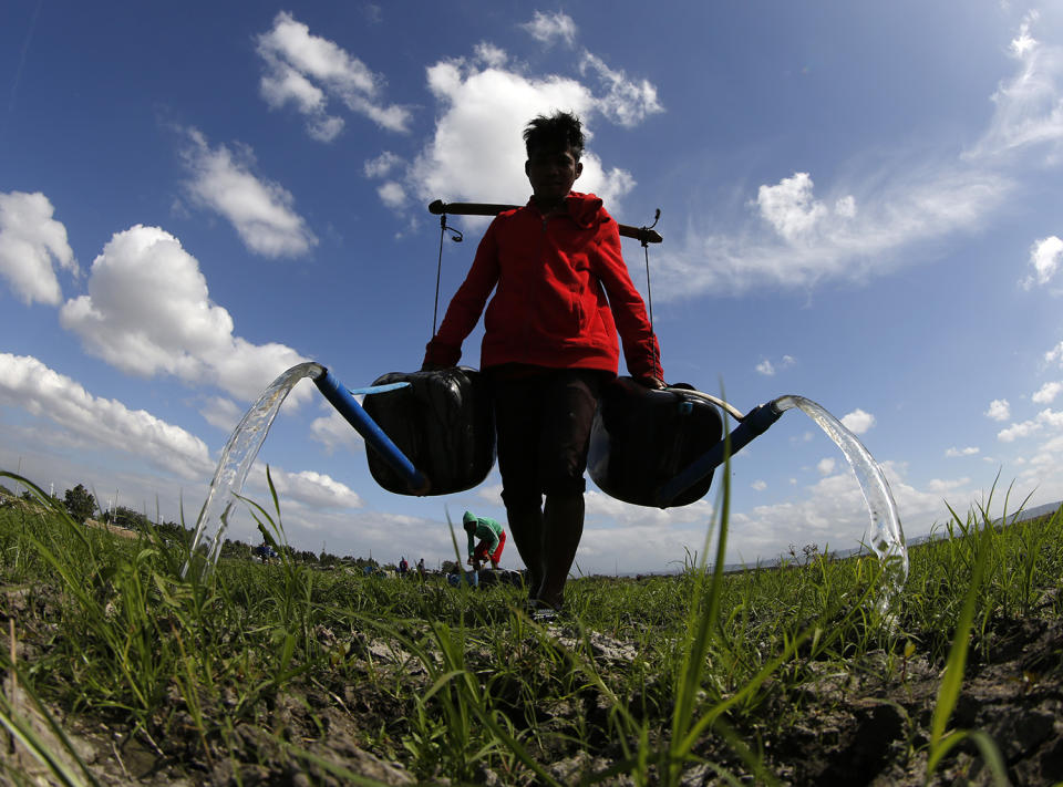 Farmers complain of lack of sources of water in the Philippines