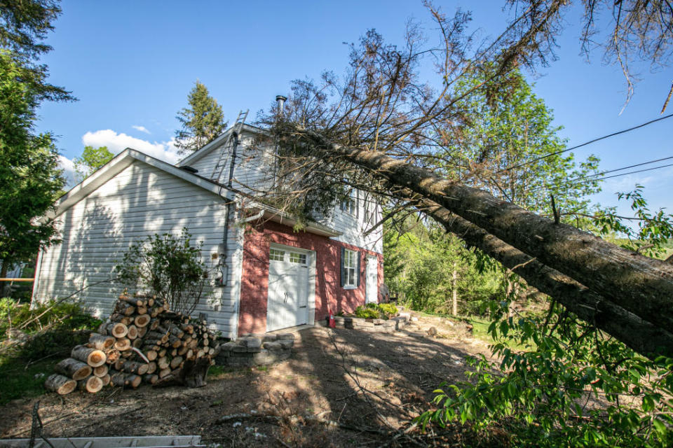 A tree leaning on the rooftop of a damaged house after a "derecho" storm in Saint-Hippolyte, Quebec, on May 21, 2022.<span class="copyright">Giordanno Brumas—SOPA Images/LightRocket/ Getty Images</span>