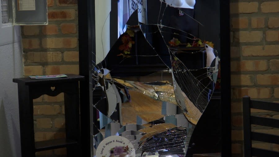 A deer ran through a lingerie store in Lansing Saturday, Nov. 4. (WLNS)