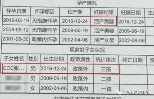 （圖／翻攝自廣東公共DV現場）