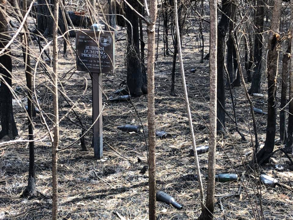 Clyde River National Park is pictured littered with beer bottles.