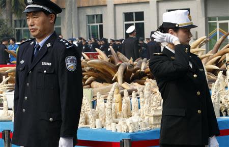 Police officers stand guard next to ivory and ivory sculptures before they are destroyed in Dongguan, Guangdong province January 6, 2014. REUTERS/Alex Lee