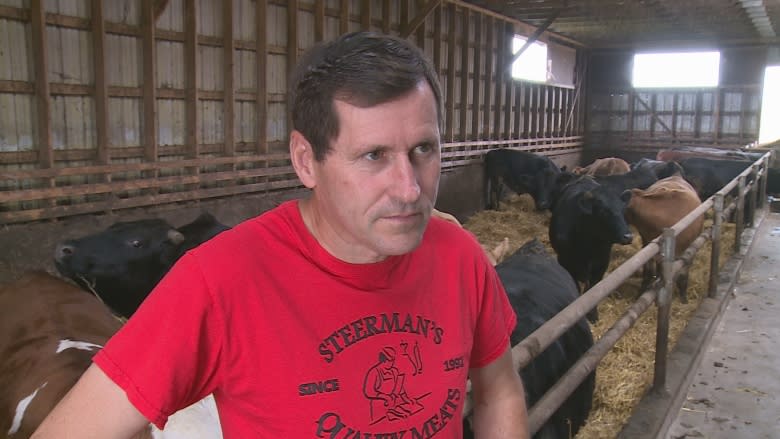 Less feed for cattle: Farmers hoping for rain to let their pastures grow
