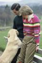 <p>Prince Charles and his fiancée, the future Princess Diana, spend time with his dog at on the Balmoral Estate.</p>