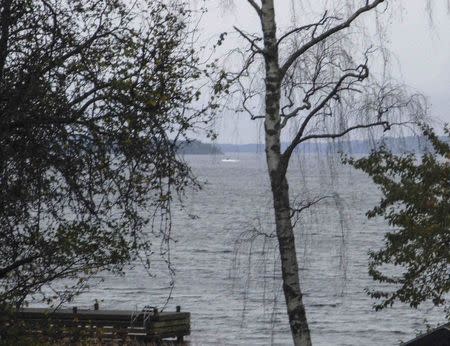 This amateur photo made available on October 19, 2014 by the Swedish Defence Ministry shows an object (top C) in the sea near Stockholm. Sweden released the grainy photo of a mysterious vessel in Stockholm's archipelago, as the military hunted for a foreign submarine or divers in the country's biggest such mobilization since the Cold War. REUTERS/Swedish Defence Ministry/Handout/TT News Agency